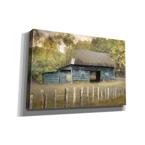 Image of 'Old Teal Shed' by Lori Deiter, Canvas Wall Art