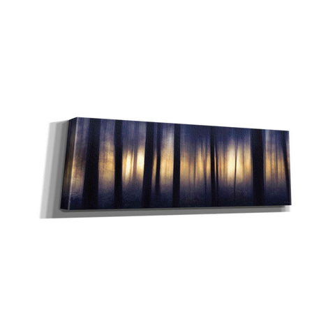 Image of 'Edge of the Forest' by Lori Deiter, Canvas Wall Art