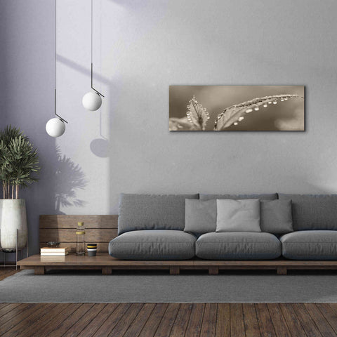 Image of 'Dewey Morning' by Lori Deiter, Canvas Wall Art,60 x 20