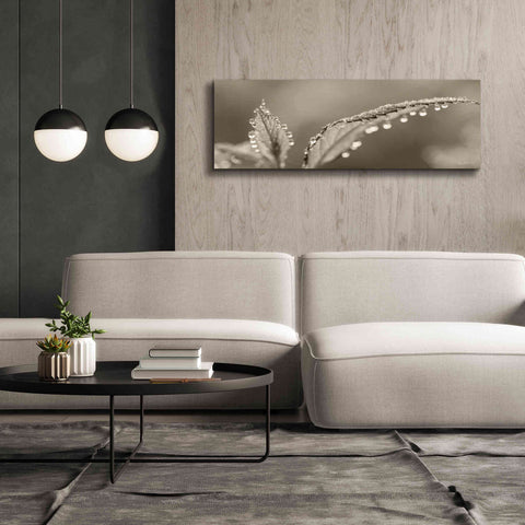 Image of 'Dewey Morning' by Lori Deiter, Canvas Wall Art,60 x 20