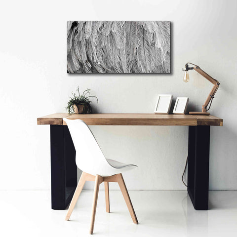 Image of 'Silver Feathers' by Lori Deiter, Canvas Wall Art,40 x 20