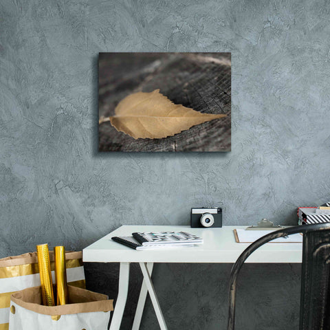 Image of 'Natural Gold Leaf' by Lori Deiter, Canvas Wall Art,16 x 12