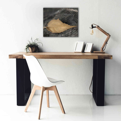 Image of 'Natural Gold Leaf' by Lori Deiter, Canvas Wall Art,24 x 20