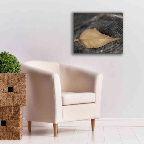 Image of 'Natural Gold Leaf' by Lori Deiter, Canvas Wall Art,24 x 20