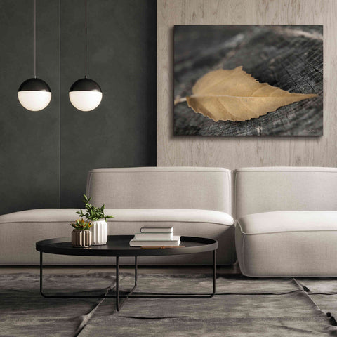 Image of 'Natural Gold Leaf' by Lori Deiter, Canvas Wall Art,54 x 40