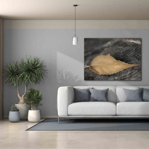 Image of 'Natural Gold Leaf' by Lori Deiter, Canvas Wall Art,54 x 40