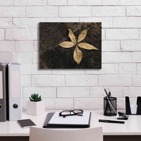 Image of 'Natural Buckeye Leaf' by Lori Deiter, Canvas Wall Art,16 x 12