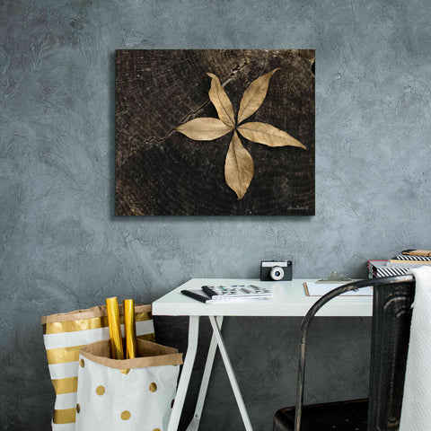 Image of 'Natural Buckeye Leaf' by Lori Deiter, Canvas Wall Art,24 x 20