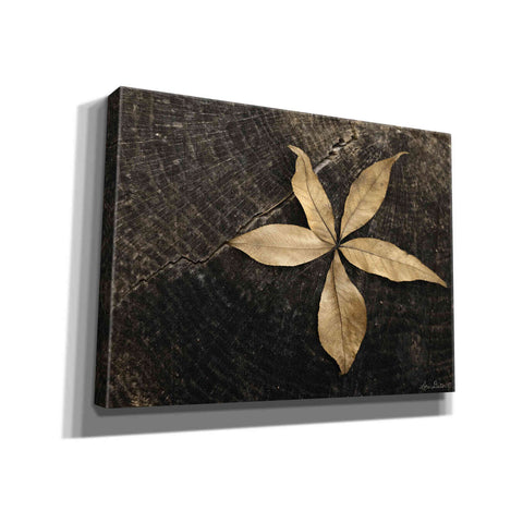Image of 'Natural Buckeye Leaf' by Lori Deiter, Canvas Wall Art