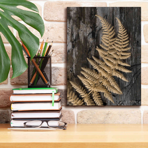 Image of 'Natural Gold Fern' by Lori Deiter, Canvas Wall Art,12 x 16