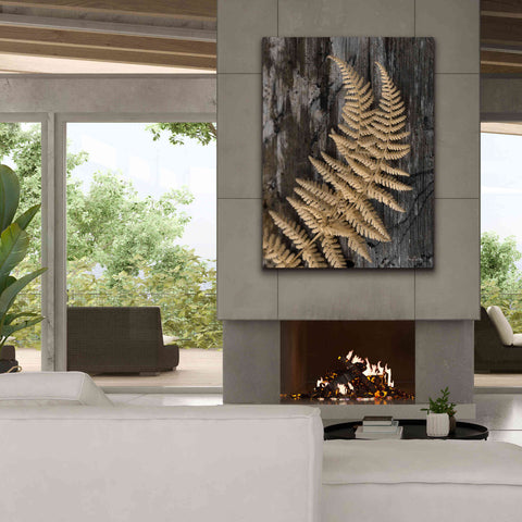 Image of 'Natural Gold Fern' by Lori Deiter, Canvas Wall Art,40 x 54
