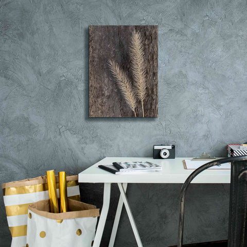 Image of 'Natural Wheat' by Lori Deiter, Canvas Wall Art,12 x 16