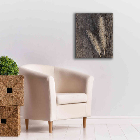 Image of 'Natural Wheat' by Lori Deiter, Canvas Wall Art,20 x 24