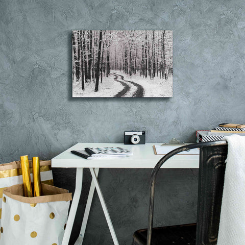 Image of 'Snowy Road' by Lori Deiter, Canvas Wall Art,18 x 12