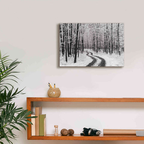 Image of 'Snowy Road' by Lori Deiter, Canvas Wall Art,18 x 12