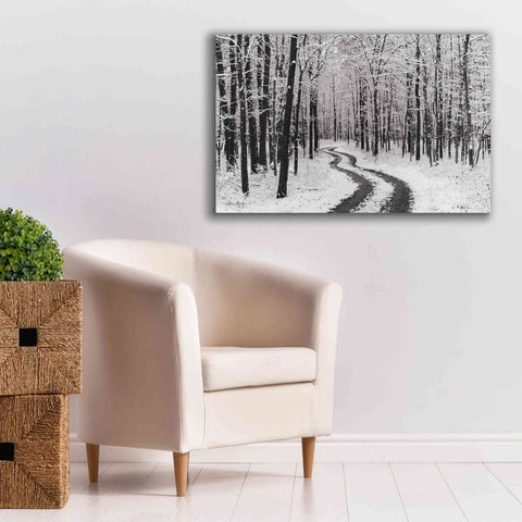 Image of 'Snowy Road' by Lori Deiter, Canvas Wall Art,40 x 26