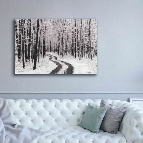 Image of 'Snowy Road' by Lori Deiter, Canvas Wall Art,60 x 40