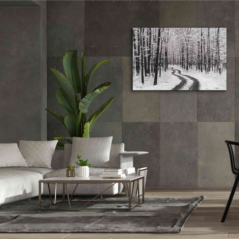 Image of 'Snowy Road' by Lori Deiter, Canvas Wall Art,60 x 40
