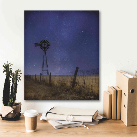 Image of 'Starlit Night' by Lori Deiter, Canvas Wall Art,20 x 24
