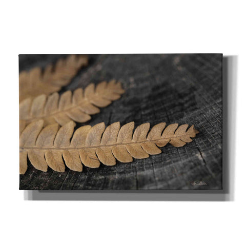 Image of 'Gold on Black V' by Lori Deiter, Canvas Wall Art