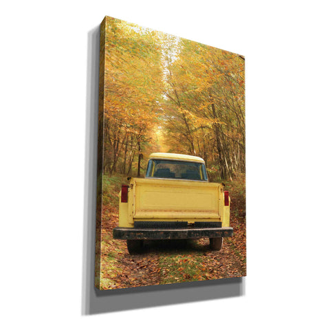 Image of 'The Season of Color' by Lori Deiter, Canvas Wall Art