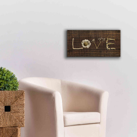 Image of 'Love is All You Need' by Lori Deiter, Canvas Wall Art,24 x 12