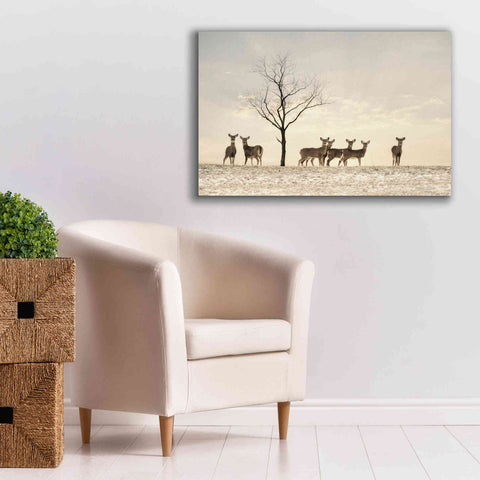 Image of 'Doe a Deer' by Lori Deiter, Canvas Wall Art,40 x 26