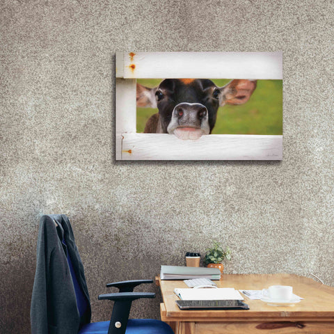 Image of 'Cow at Fence' by Lori Deiter, Canvas Wall Art,40 x 26