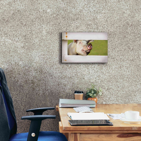 Image of 'Pig at Fence' by Lori Deiter, Canvas Wall Art,18 x 12