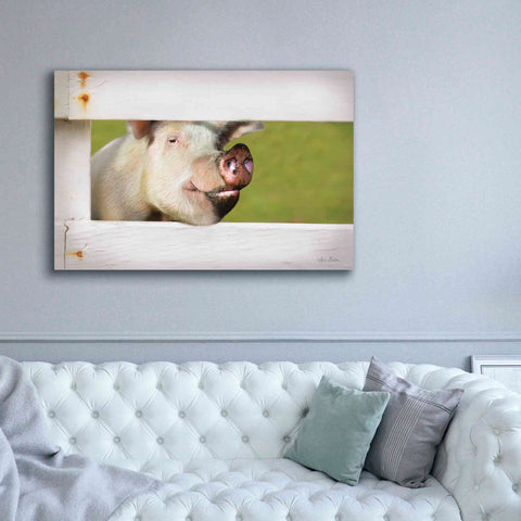 Image of 'Pig at Fence' by Lori Deiter, Canvas Wall Art,60 x 40