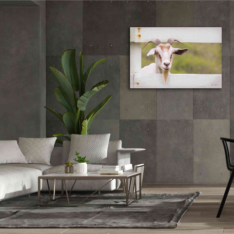 Image of 'Goat at Fence' by Lori Deiter, Canvas Wall Art,60 x 40