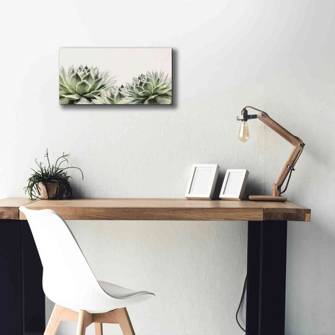 Image of 'Soft Succulents I' by Lori Deiter, Canvas Wall Art,24 x 12