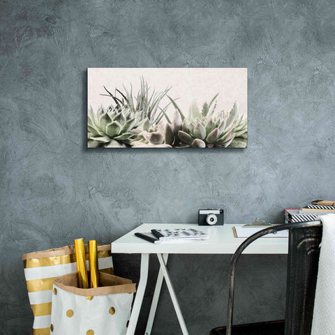Image of 'Soft Succulents II' by Lori Deiter, Canvas Wall Art,24 x 12