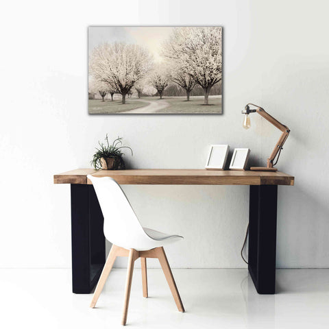 Image of 'In Full Bloom' by Lori Deiter, Canvas Wall Art,40 x 26