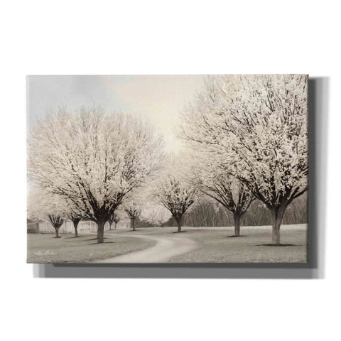 Image of 'In Full Bloom' by Lori Deiter, Canvas Wall Art