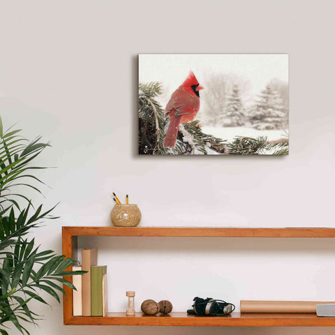 Image of 'Winter Perch' by Lori Deiter, Canvas Wall Art,18 x 12
