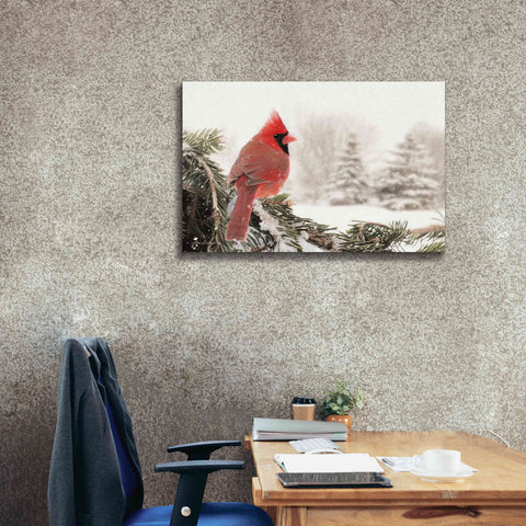 Image of 'Winter Perch' by Lori Deiter, Canvas Wall Art,40 x 26