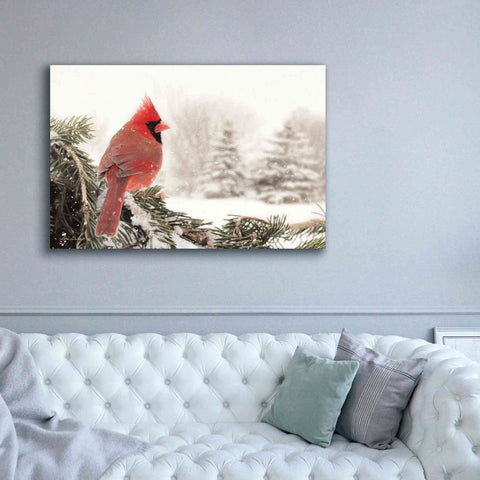 Image of 'Winter Perch' by Lori Deiter, Canvas Wall Art,60 x 40