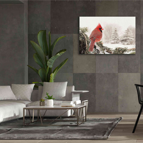 Image of 'Winter Perch' by Lori Deiter, Canvas Wall Art,60 x 40