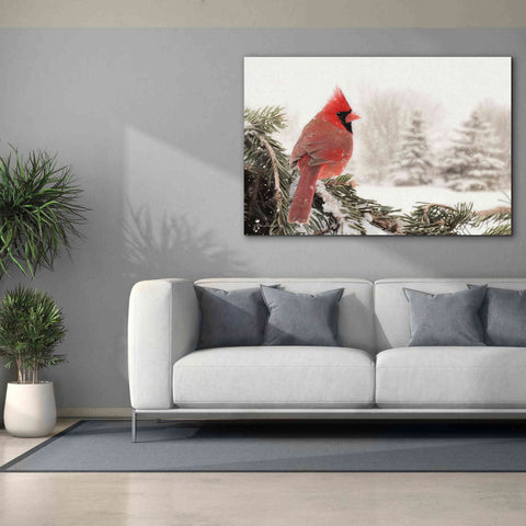Image of 'Winter Perch' by Lori Deiter, Canvas Wall Art,60 x 40