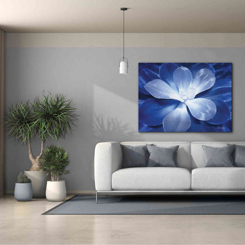 Image of 'Blue Succulent II' by Lori Deiter, Canvas Wall Art,54 x 40