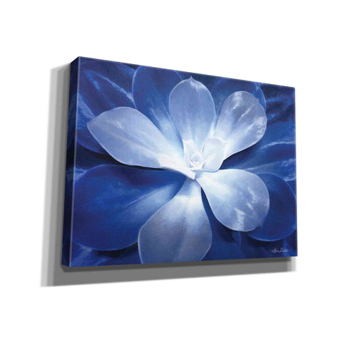 Image of 'Blue Succulent II' by Lori Deiter, Canvas Wall Art