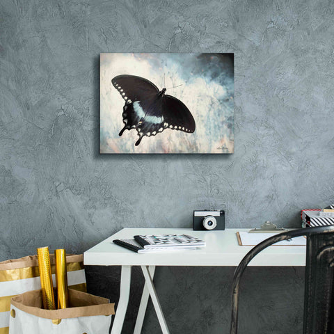 Image of 'Teal Butterfly I' by Lori Deiter, Canvas Wall Art,16 x 12