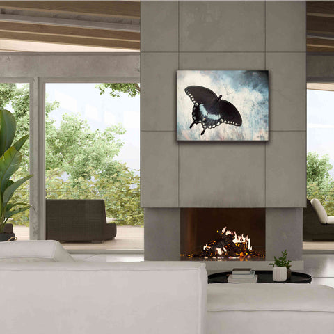 Image of 'Teal Butterfly I' by Lori Deiter, Canvas Wall Art,34 x 26