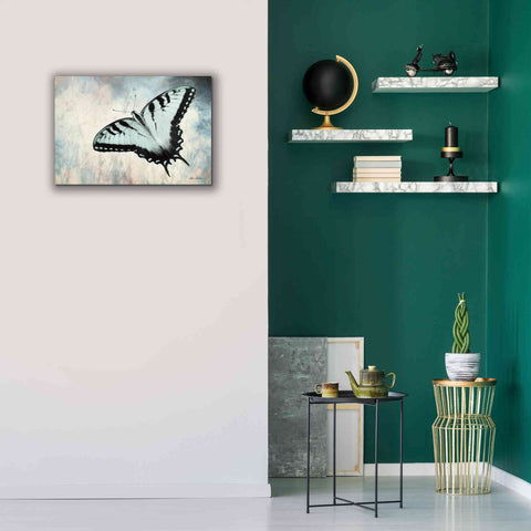 Image of 'Teal Butterfly II' by Lori Deiter, Canvas Wall Art,26 x 18