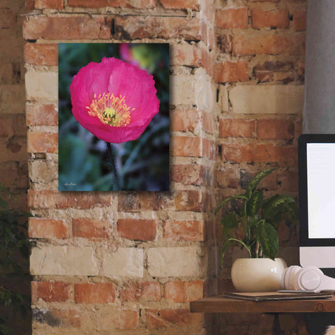 Image of 'Floral Pop I' by Lori Deiter, Canvas Wall Art,12 x 16