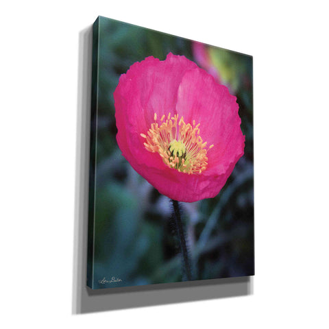 Image of 'Floral Pop I' by Lori Deiter, Canvas Wall Art