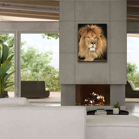Image of 'King of the Jungle' by Lori Deiter, Canvas Wall Art,26 x 34