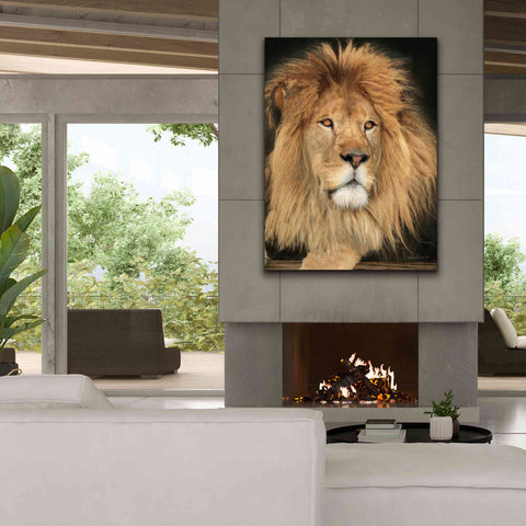 Image of 'King of the Jungle' by Lori Deiter, Canvas Wall Art,40 x 54