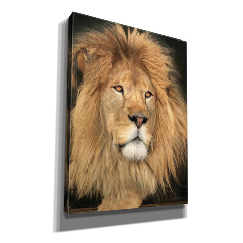 Image of 'King of the Jungle' by Lori Deiter, Canvas Wall Art